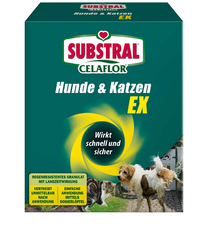 SUBSTRAL Celaflor Hunde & Katzen EX